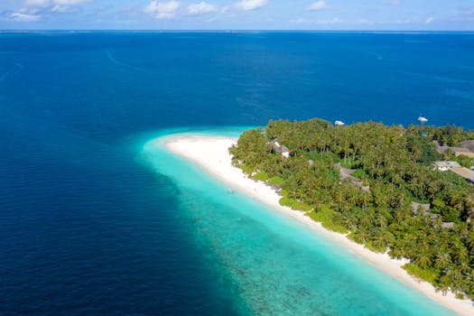 Best Resorts in the Maldives with Coral Reef Access